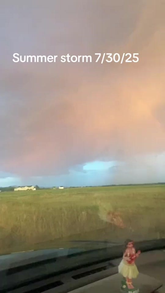 Post 7 by Amy Sue on TikTok (video)