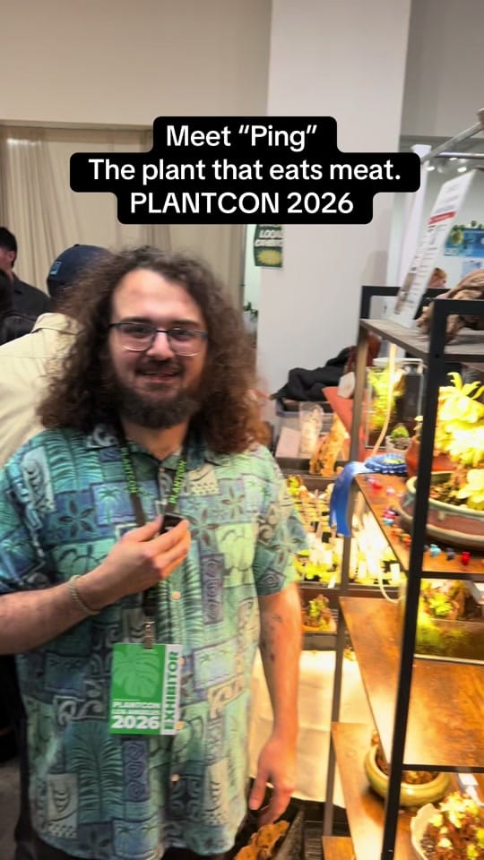 Post 2 by Sheldon Botler on TikTok (video)
