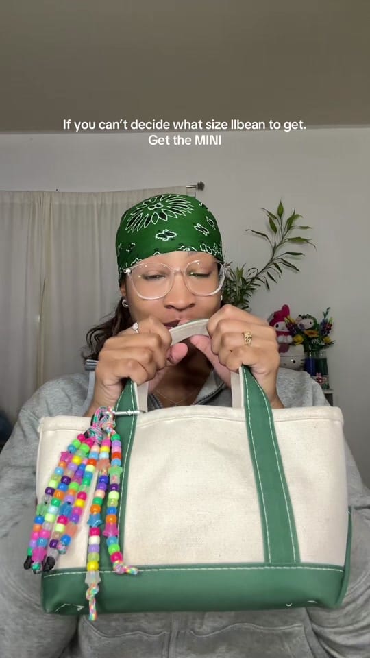 Post 3 by Dominique 🐞 on TikTok (video)
