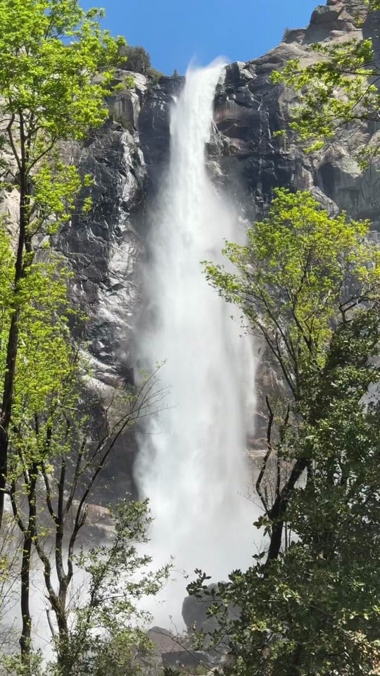 Post 5 by Ben Smith on TikTok (video)