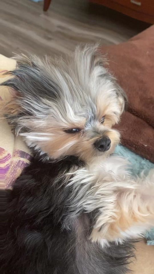 Post 5 by LuvJaeMarie on TikTok (video)