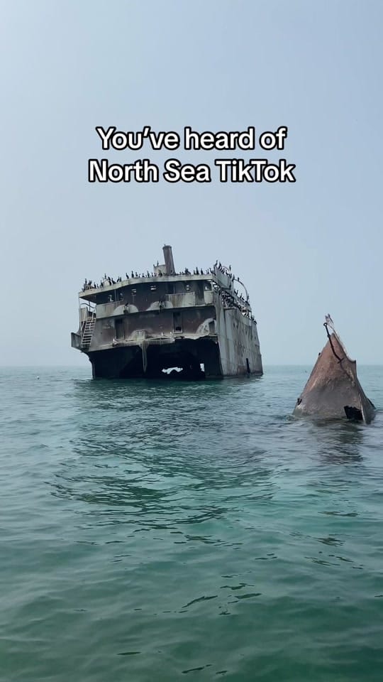 Post 9 by Jacqueline Bishop on TikTok (video)