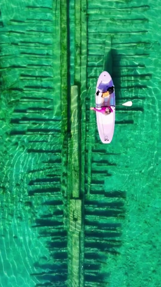 Post 1 by Jacqueline Bishop on TikTok (video)