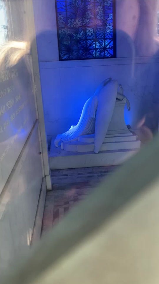 Post 10 by Bloody Mary New Orleans on TikTok (video)