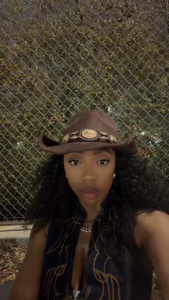 Post 1 by Ashley Janaé on TikTok (video)