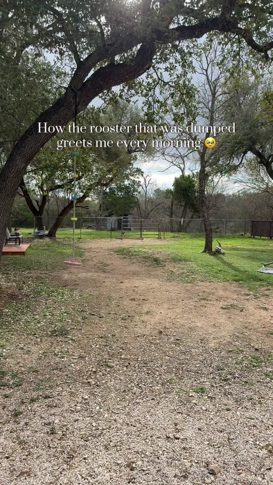 Post 4 by MadeByMeg on TikTok (video)