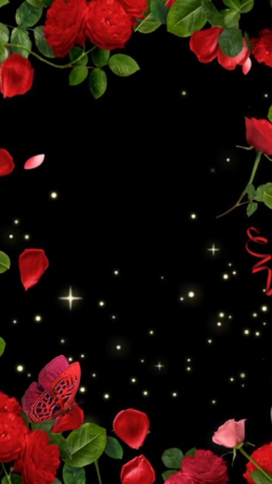 Post 3 by Lori Schoeling on TikTok (video)