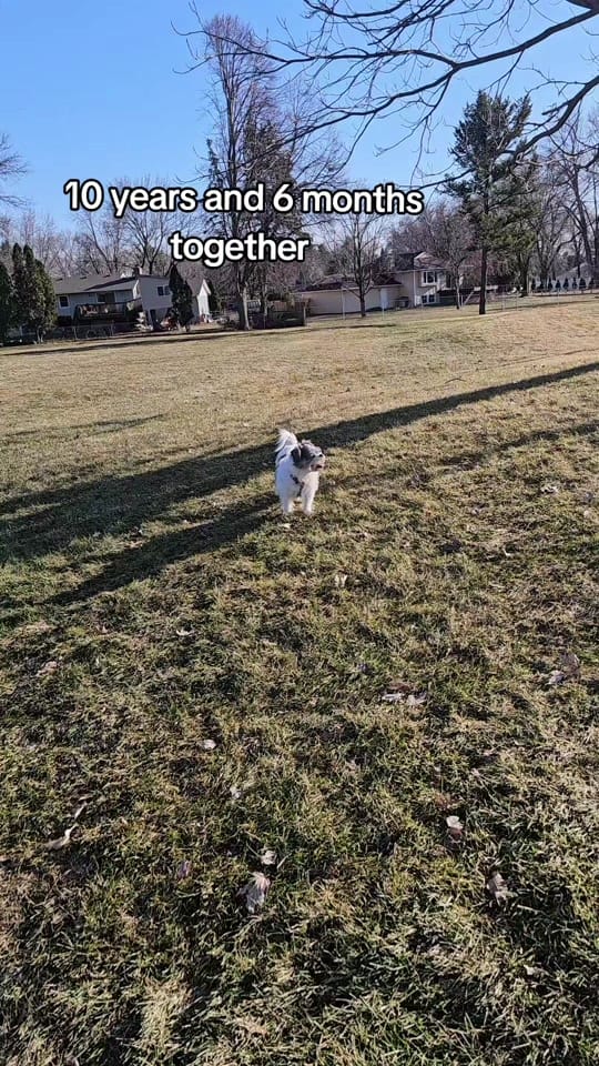 Post 3 by GlutenfreeconThalia on TikTok (video)