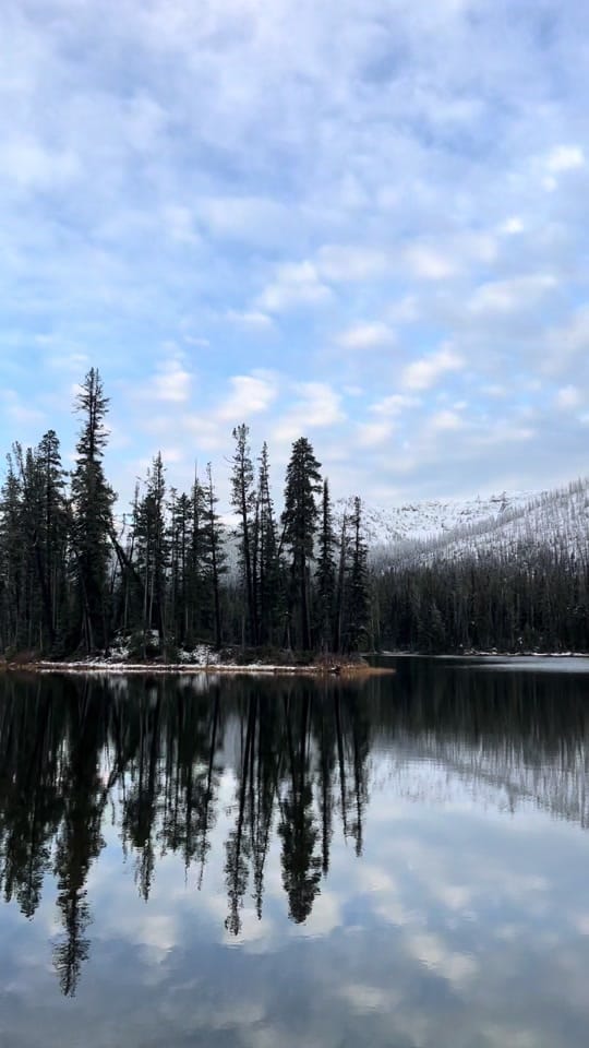Post 9 by Julia Cook on TikTok (video)