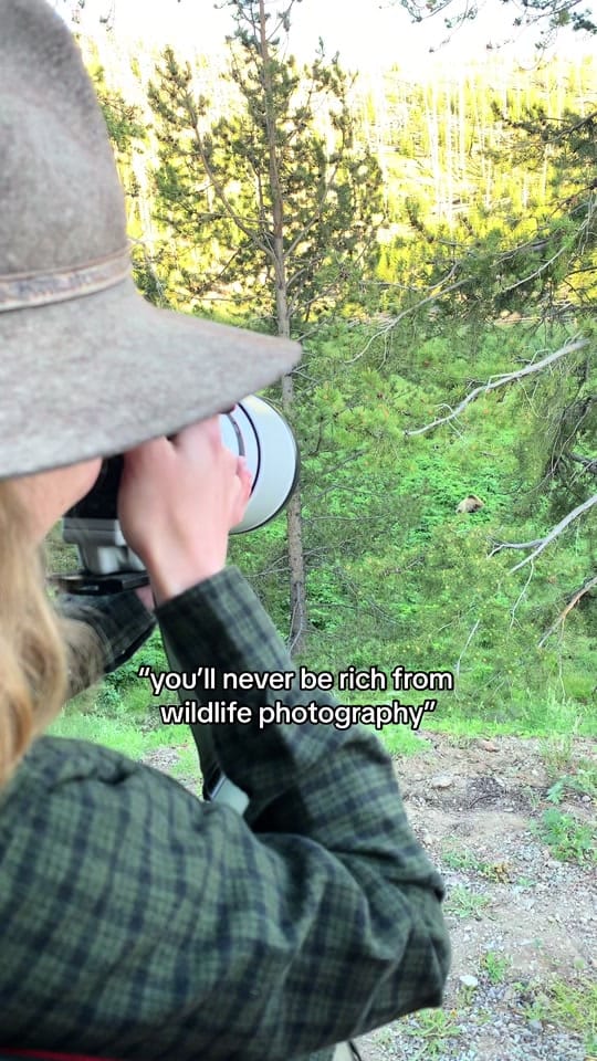 Post 8 by Julia Cook on TikTok (video)