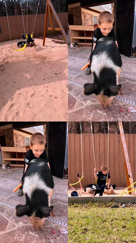Post 1 by Legros on TikTok (video)