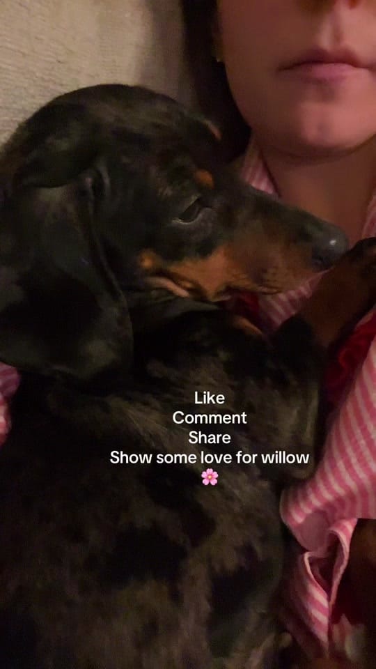 Post 4 by Laura brumpton 🍒 on TikTok (video)
