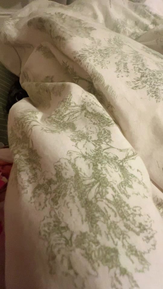 Post 6 by Laura brumpton 🍒 on TikTok (video)