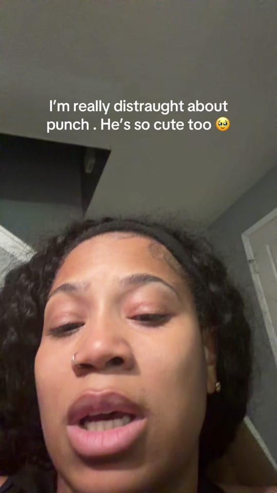 Post 6 by Giovonnie on TikTok (video)