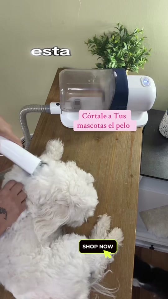 Post 10 by kiki’s on TikTok (video)