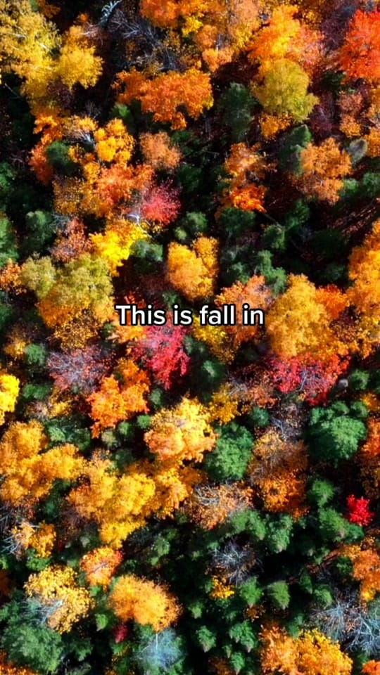 Post 2 by Felicia Fullwood on TikTok (video)