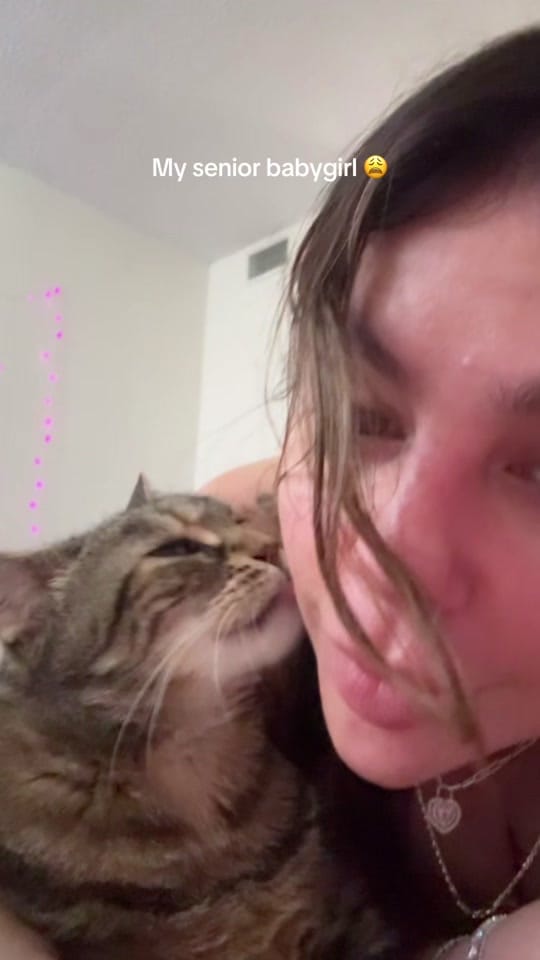 Post 1 by Fernandasellsmiami 💖 on TikTok (video)