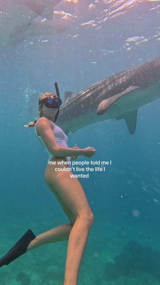 Post 9 by daisy pitch 🌺🌴👙☀️🐚 on TikTok (video)