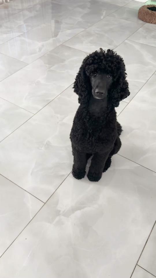 Post 6 by Ariel | Beauty & Lifestyle on TikTok (video)