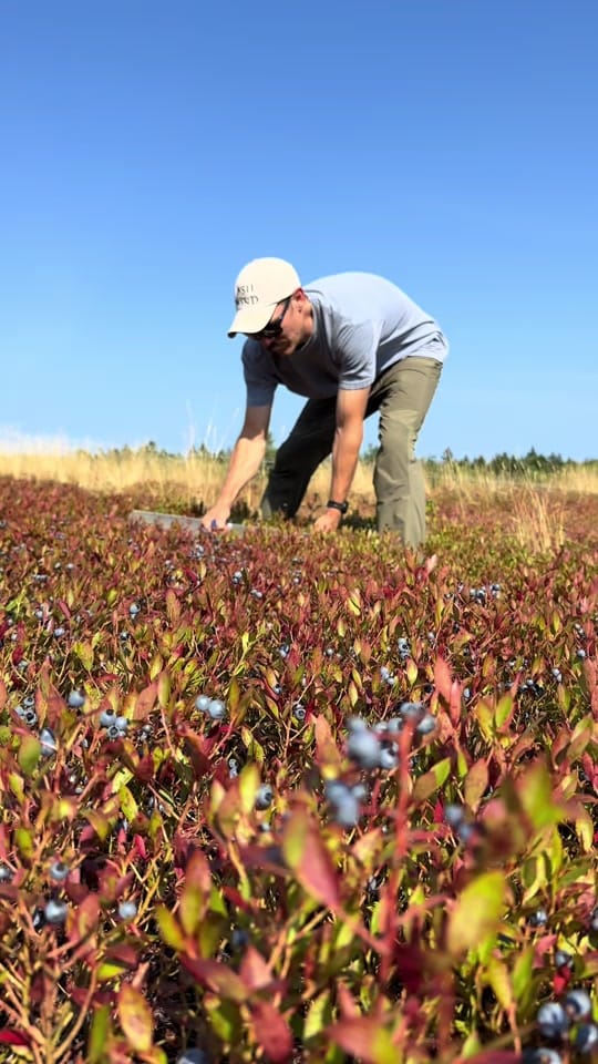 Post 2 by Josh Pond Farm on TikTok (video)