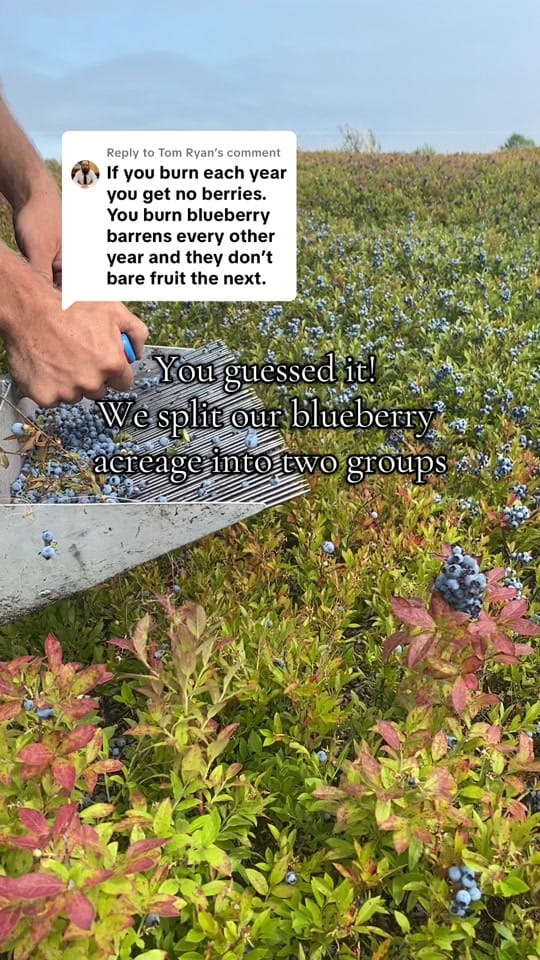 Post 8 by Josh Pond Farm on TikTok (video)