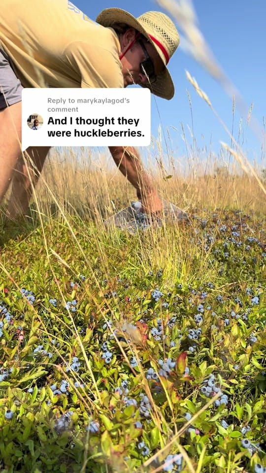 Post 9 by Josh Pond Farm on TikTok (video)