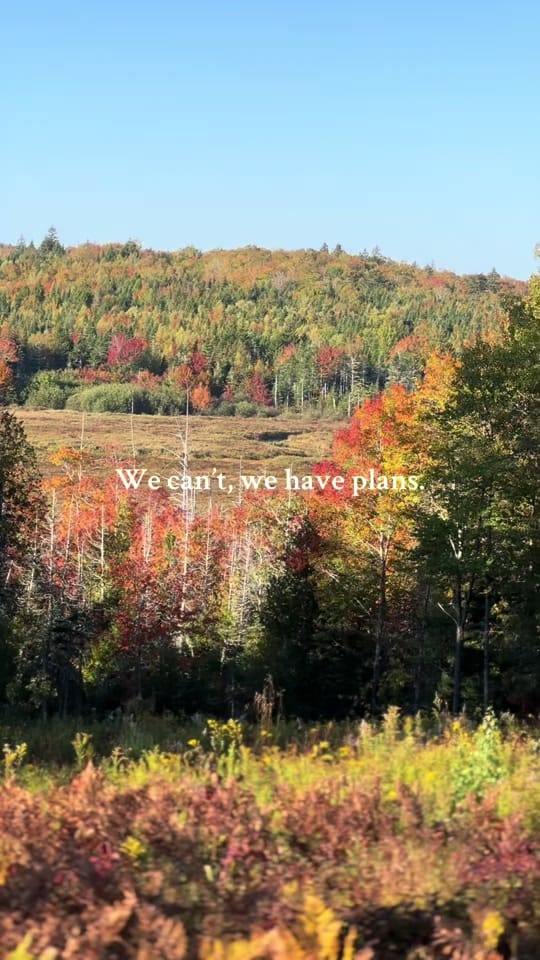 Post 4 by Josh Pond Farm on TikTok (video)