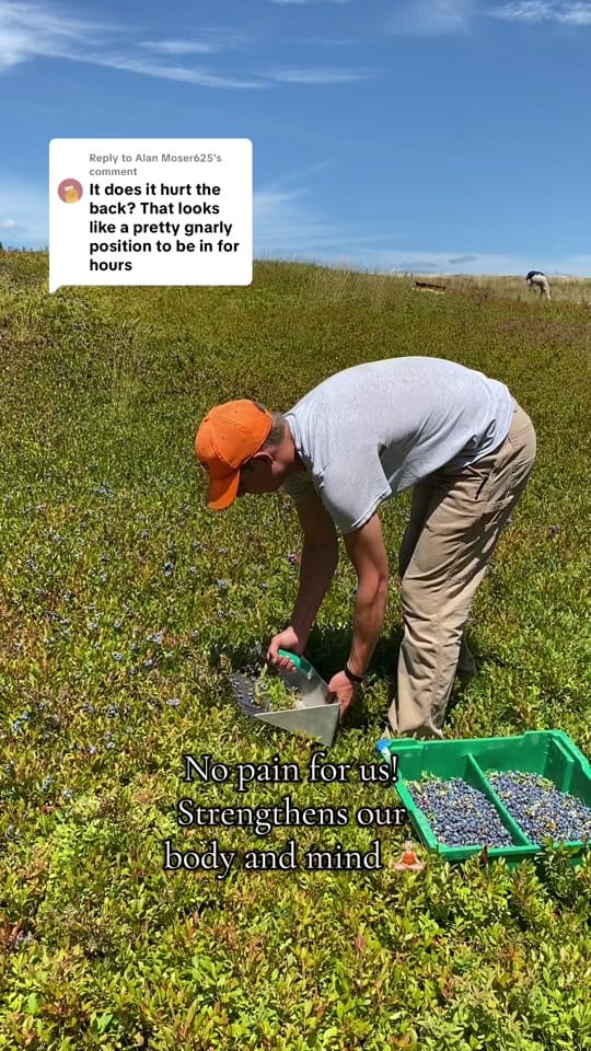 Post 7 by Josh Pond Farm on TikTok (video)