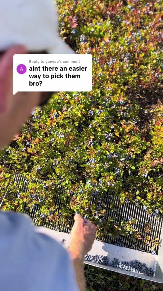 Post 5 by Josh Pond Farm on TikTok (video)