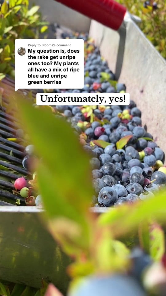 Post 6 by Josh Pond Farm on TikTok (video)