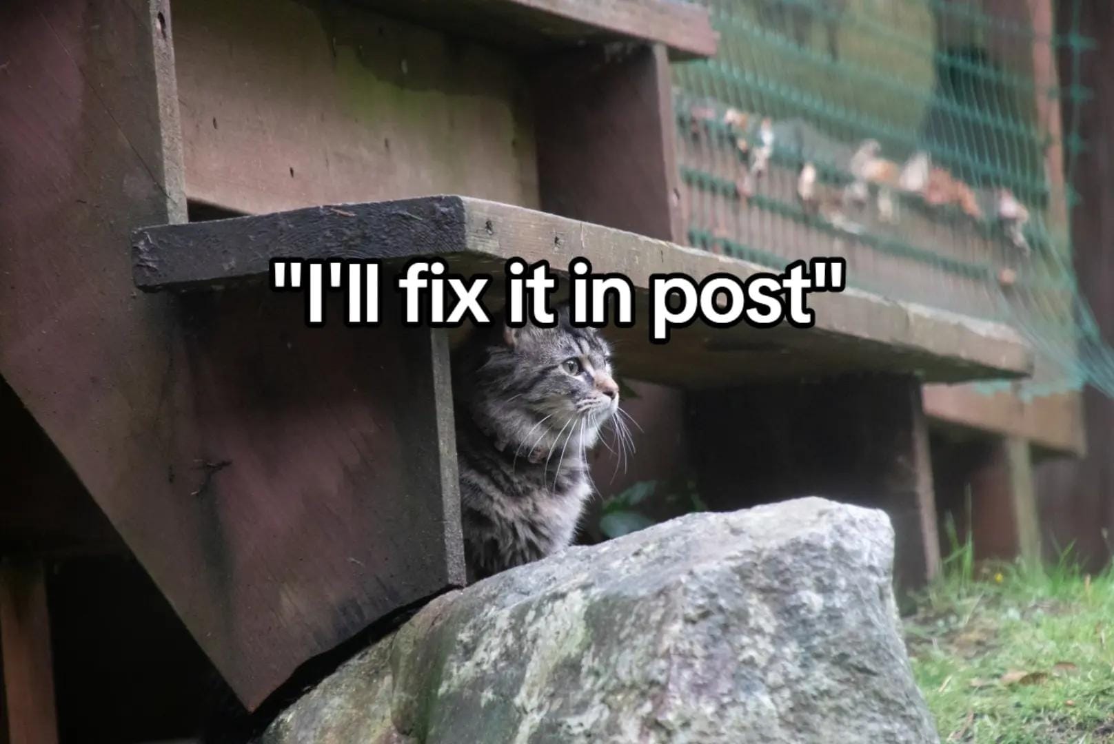 Post 4 by wobblous on TikTok (video)