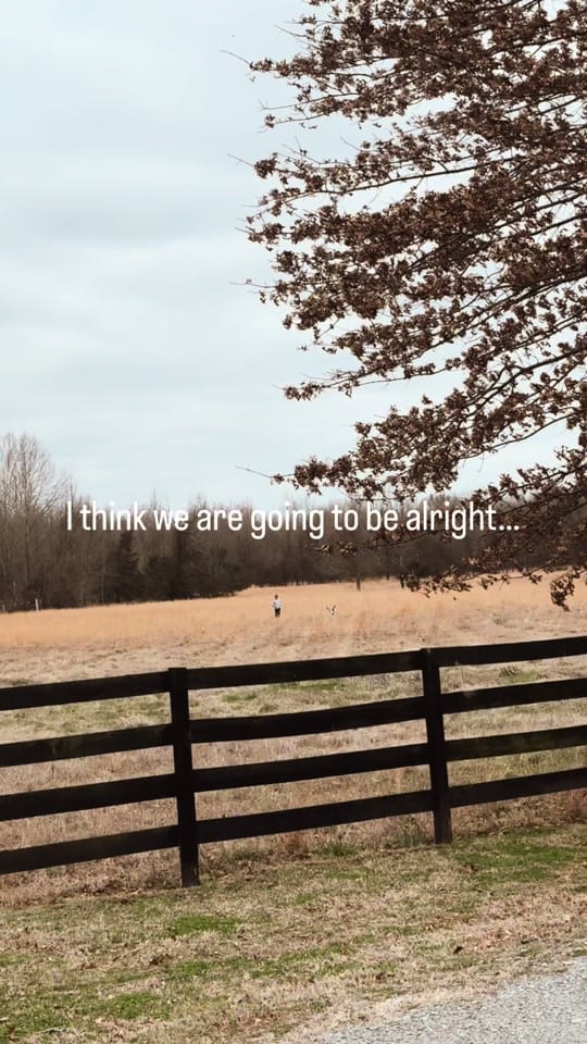 Post 1 by Holly Douglas & Co on TikTok (video)