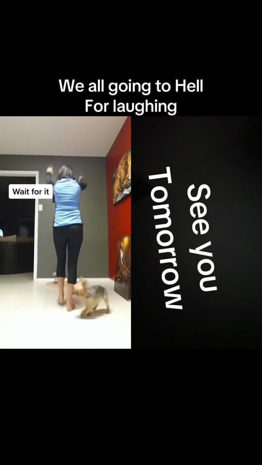 Post 7 by drlwright1 on TikTok (video)