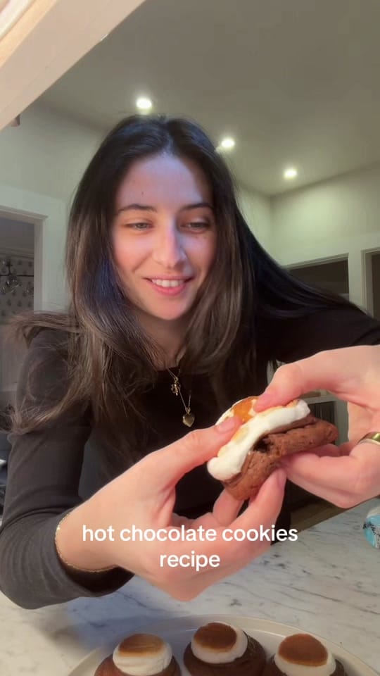 Post 3 by Gabby Belsito on TikTok (video)