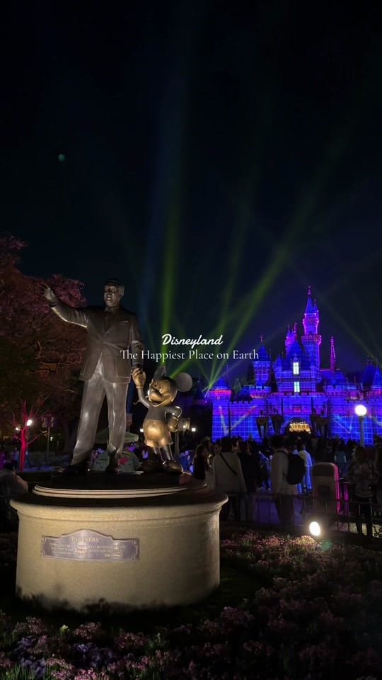 Post 4 by disneywithcindy on TikTok (video)