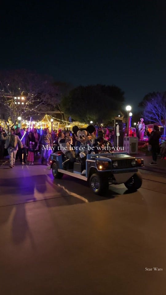 Post 8 by disneywithcindy on TikTok (video)