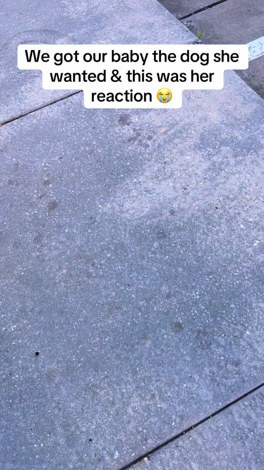 Post 10 by Teedibonv on TikTok (video)
