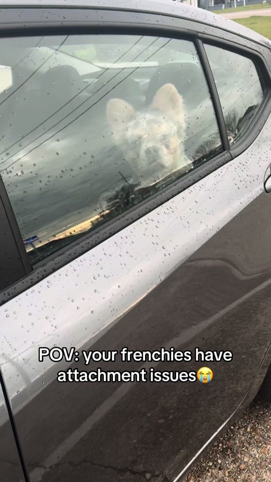 Post 7 by Teedibonv on TikTok (video)