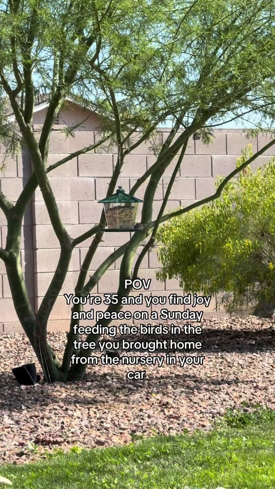 Post 6 by thekellyjones on TikTok (video)