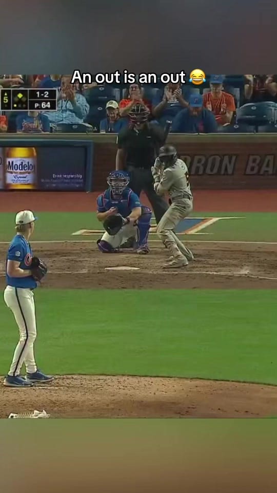Post 4 by FL Teams on TikTok (video)