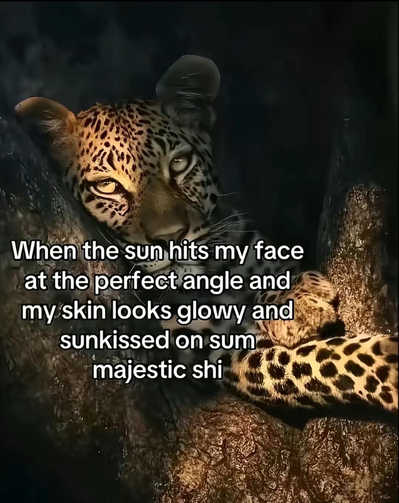 Post 4 by OfficialJacob on TikTok (video)
