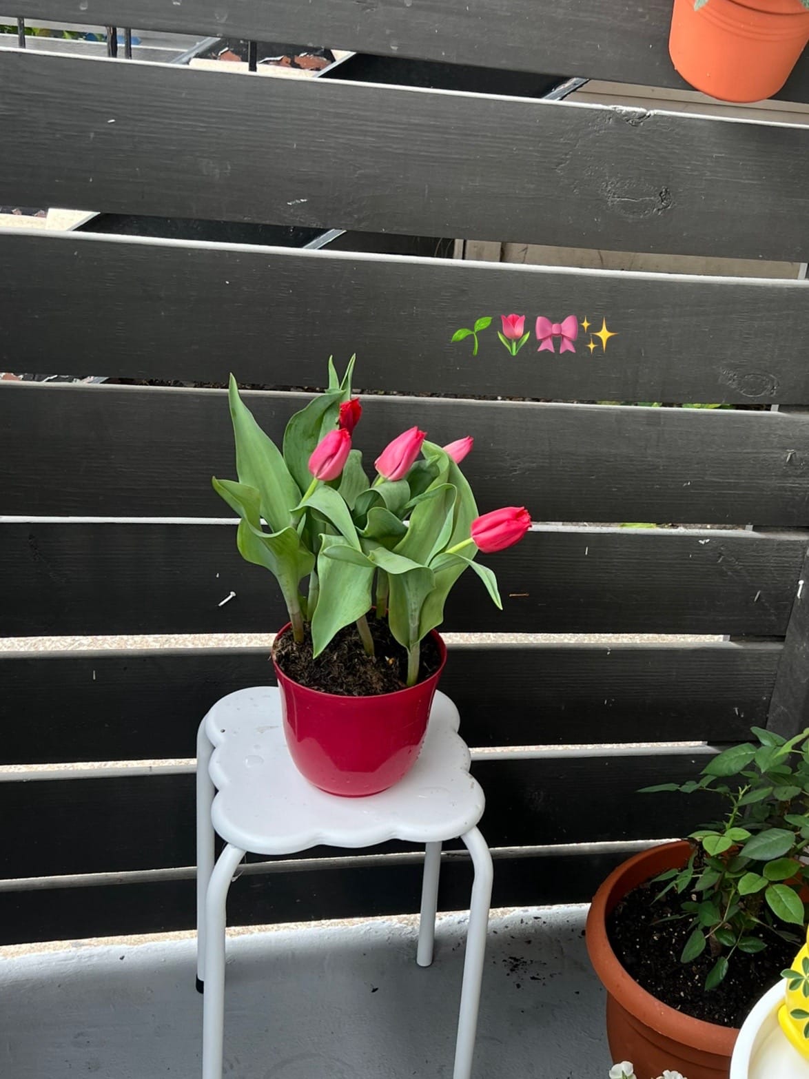 Post 3 by stephy on TikTok (video)