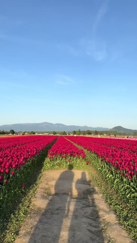 Post 10 by Aisha Abanur on TikTok (video)