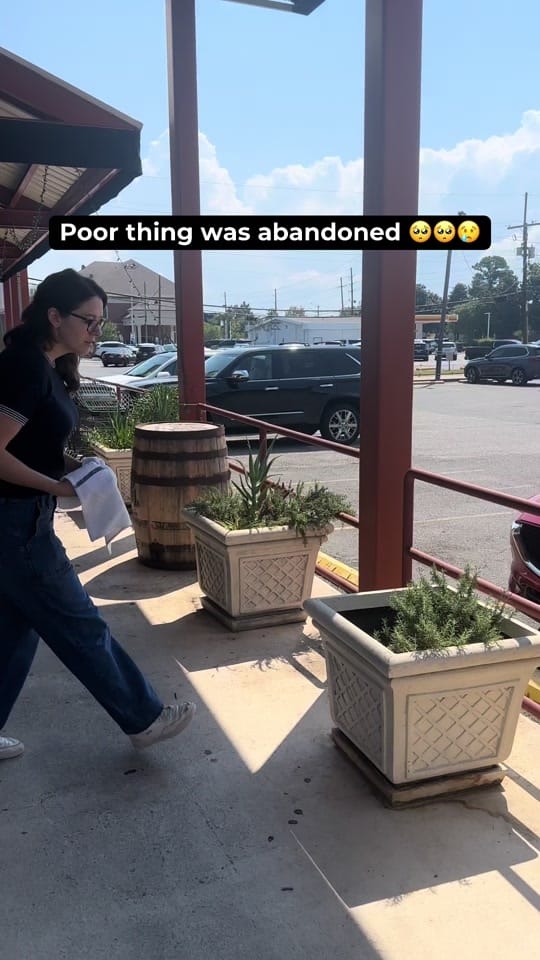 Post 6 by Martin’s on TikTok (video)