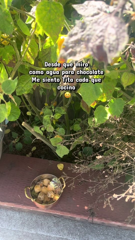 Post 2 by Maleny on TikTok (video)