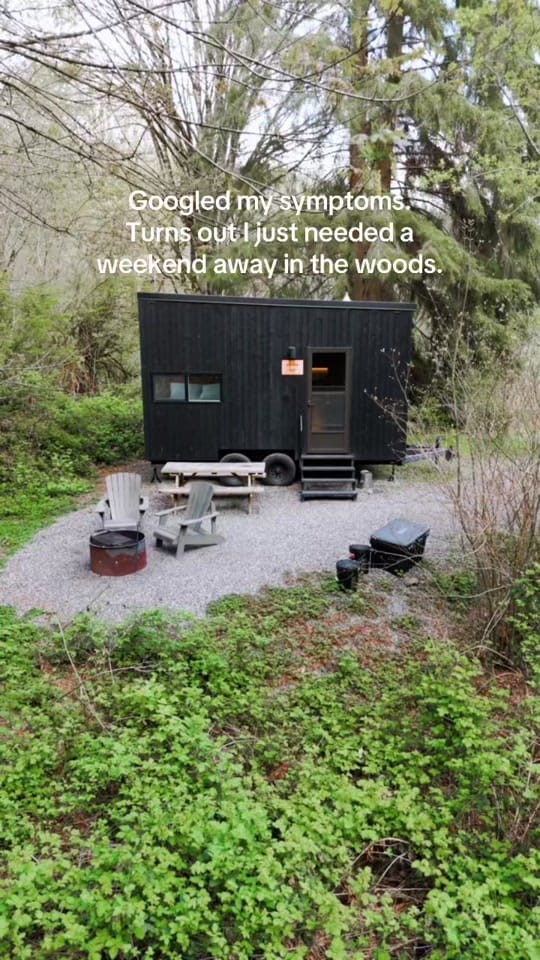 Post 3 by Michelle Halpern on TikTok (video)