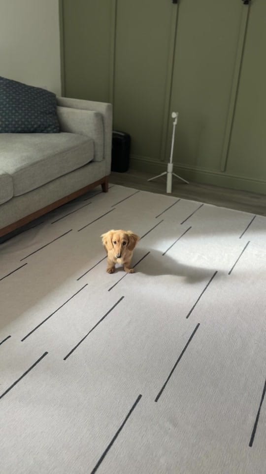 Post 3 by lilsausage.co on TikTok (video)