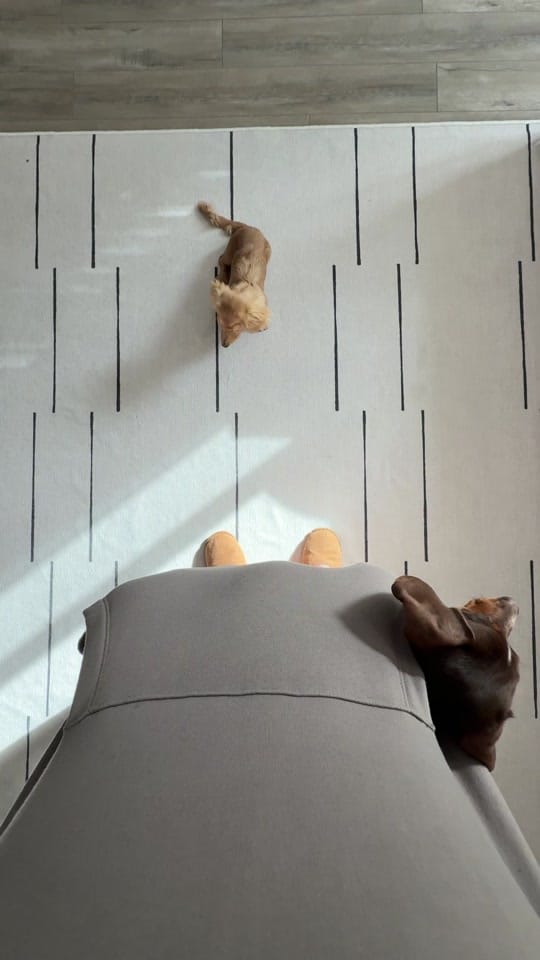Post 1 by lilsausage.co on TikTok (video)