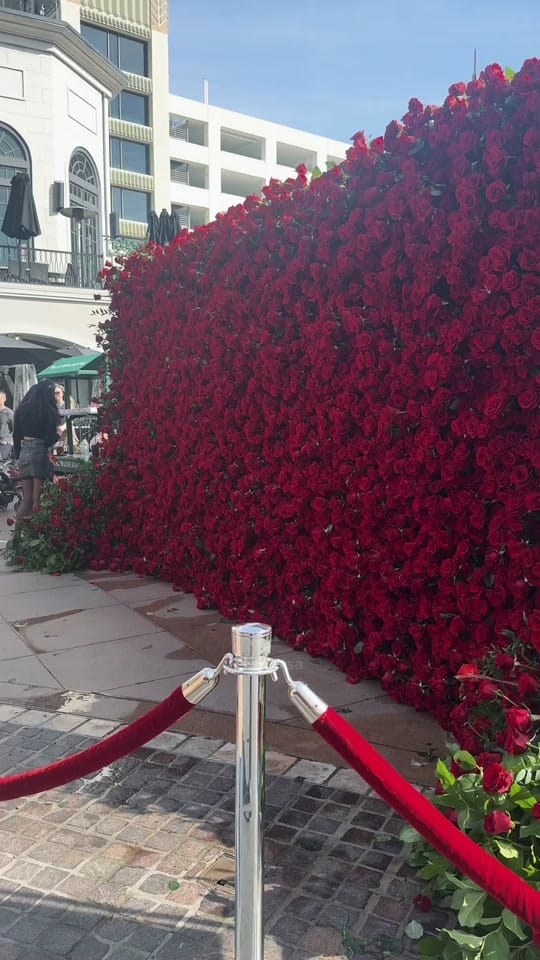 Post 3 by Isa Romero on TikTok (video)