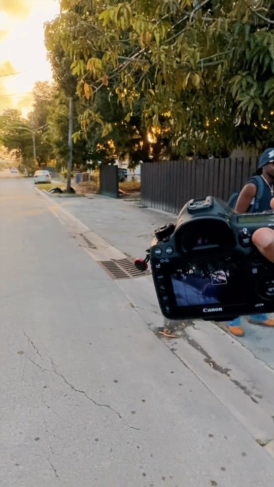 Post 3 by vulture visions on TikTok (video)